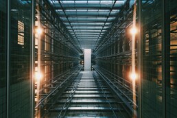 dns centralizado