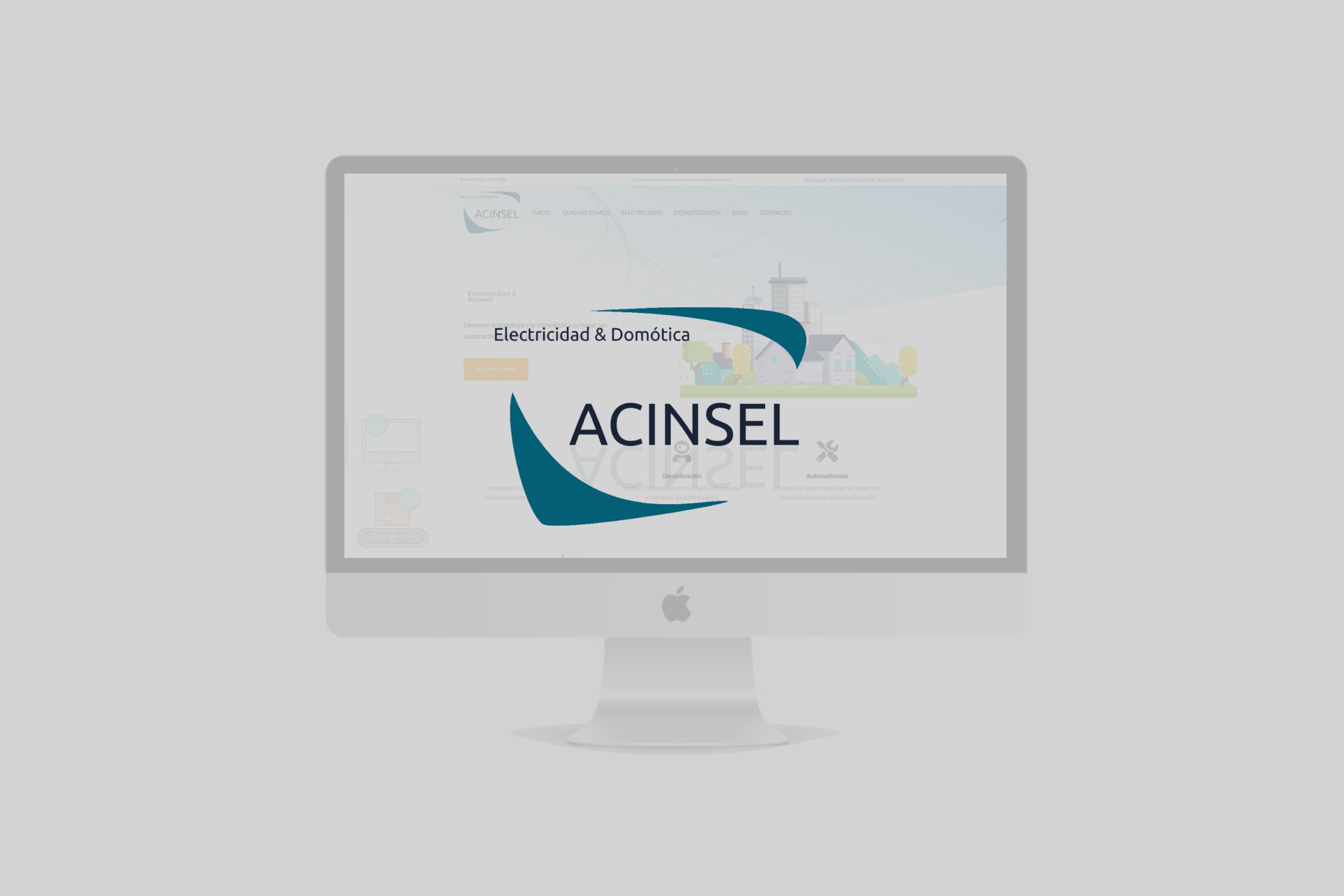 Acinsel