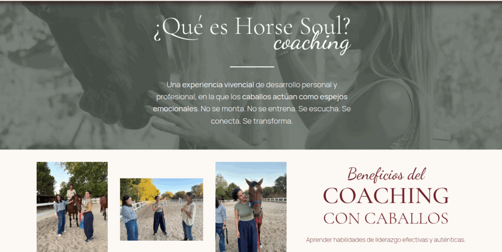 Horse Soul Coaching
