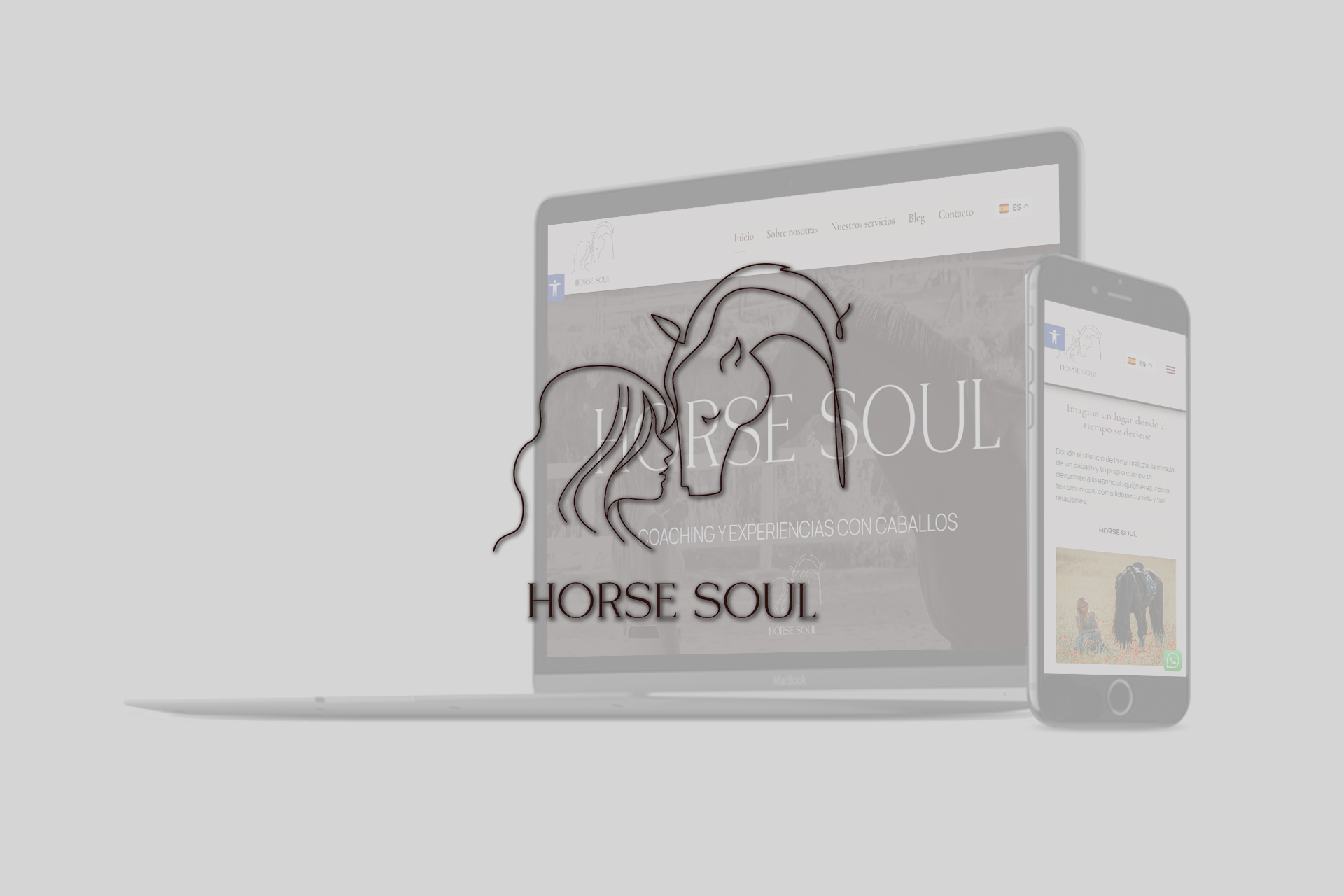 Horse Soul Coaching
